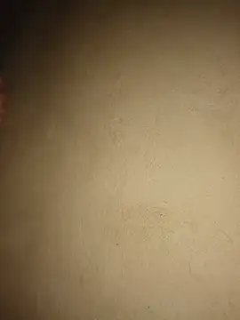 Giselabrunette25 webcam