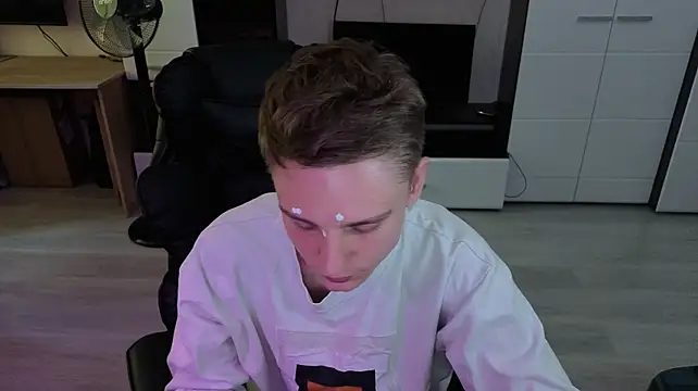 pvlpstvy webcam