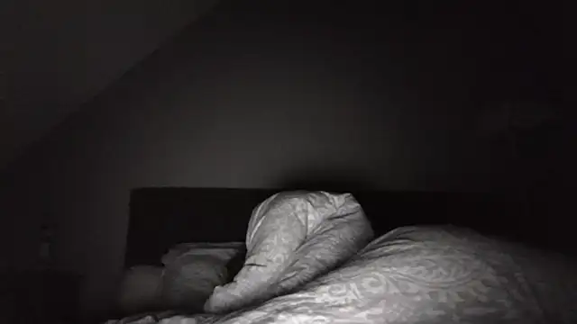 3615_ULLA webcam