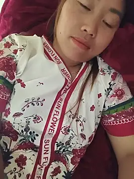 he-se-kin webcam