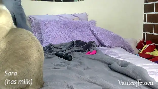 Valuysarauwu webcam