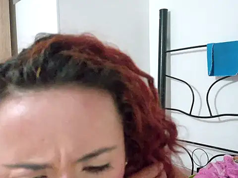 switch_fenix webcam