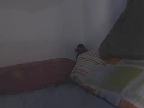 Ariel_pinkdiamond webcam