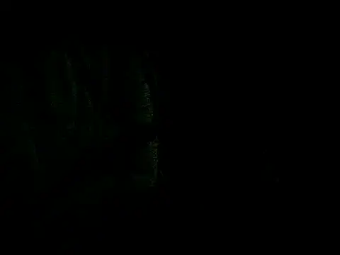 HotLatinoBR webcam