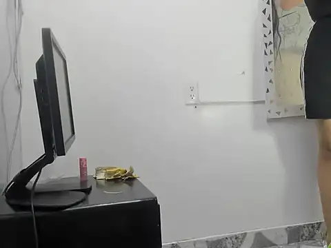 AuroraSeXR webcam