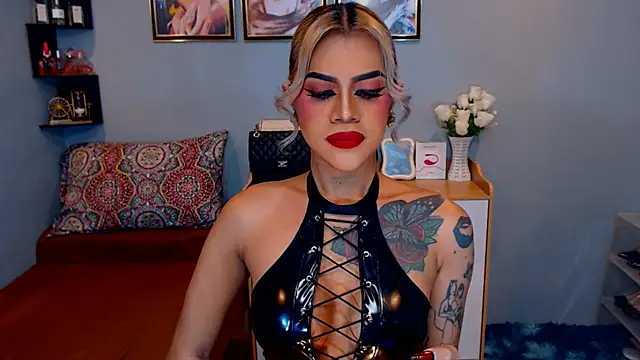 StellaStrong30 webcam