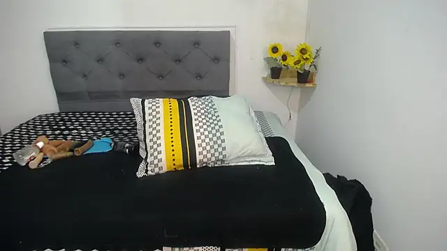 sasi_luna webcam