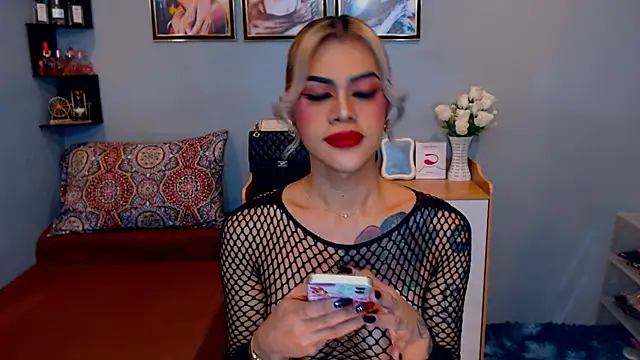 StellaStrong30 webcam
