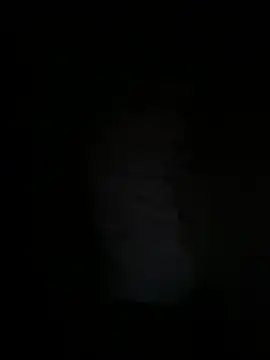 freedmar webcam