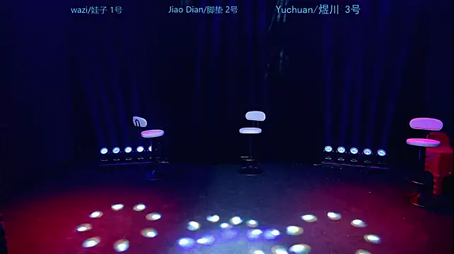 SH-Yiyi001 webcam