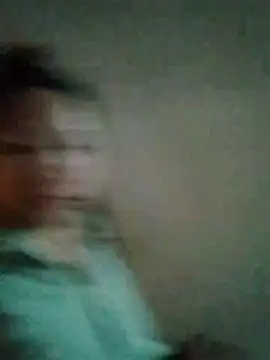 like2008 webcam