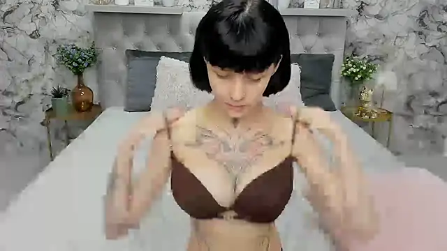 AniParadise webcam