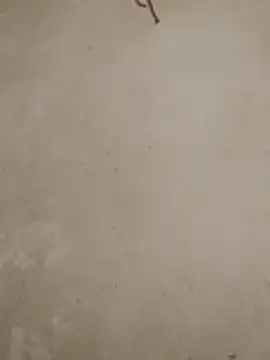 mylaky9 webcam