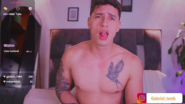 I_Gabriel webcam