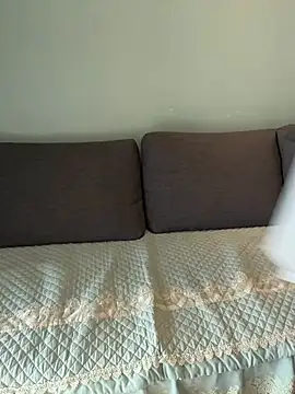 xianyu-ss webcam