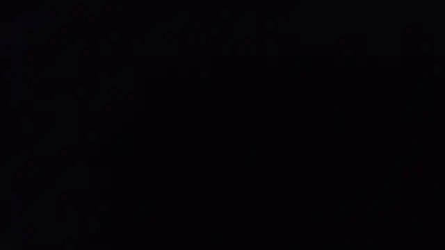 StellaCRL webcam