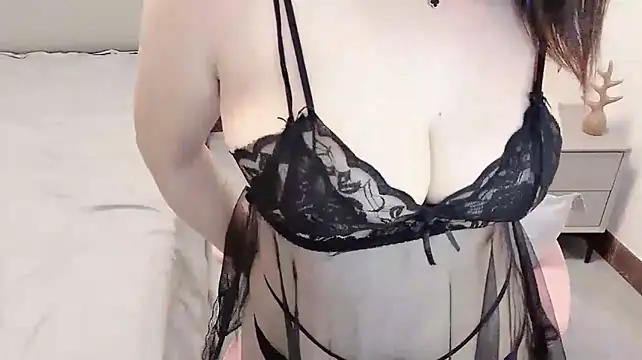 CE-A699 webcam