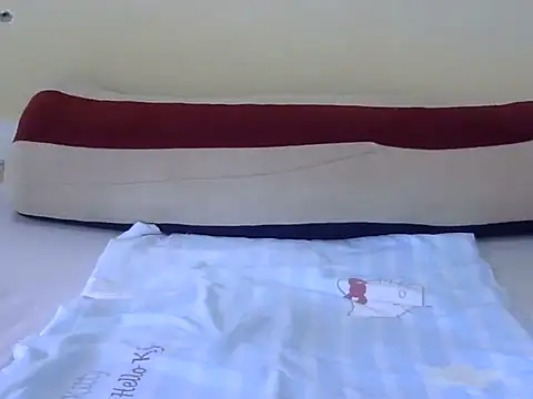 Scate webcam