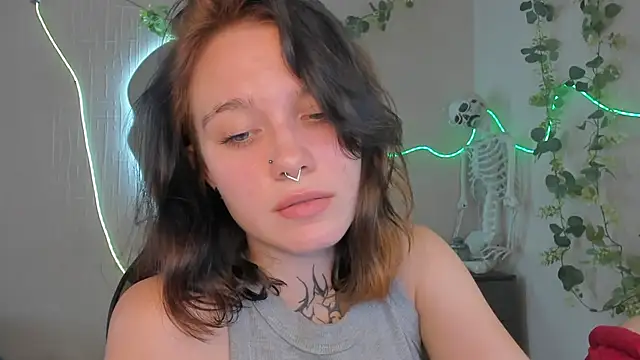 Elastikisss webcam
