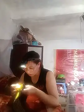 Stella-456 webcam