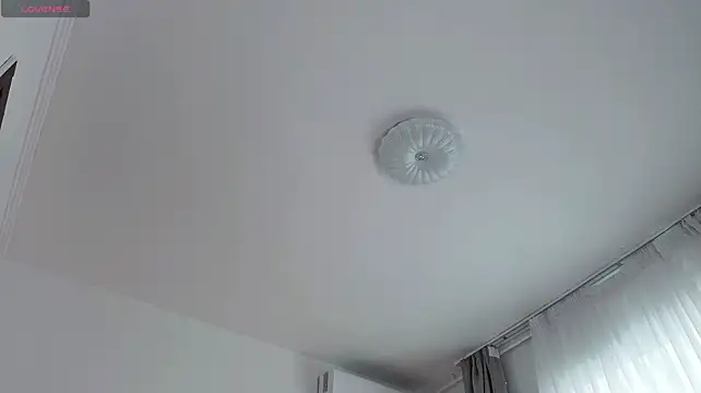 JullyFox webcam