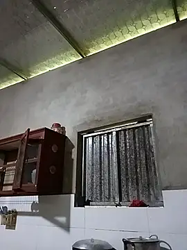 toyo_668 webcam