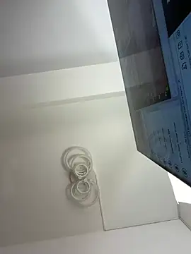 MayaSpringX webcam