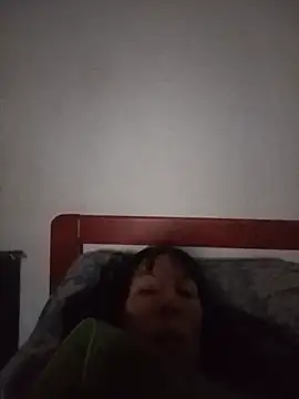 vio86 webcam