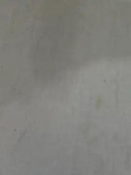 4-some-couple webcam
