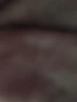 Dilkash77719
