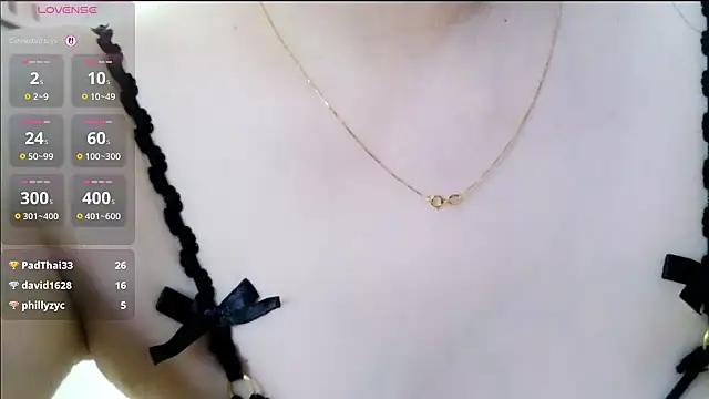 Daisy-B3 webcam
