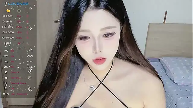 BB-ka webcam