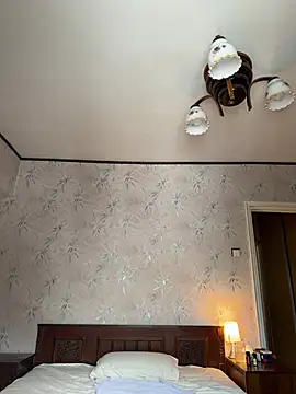 Deep354050cm webcam