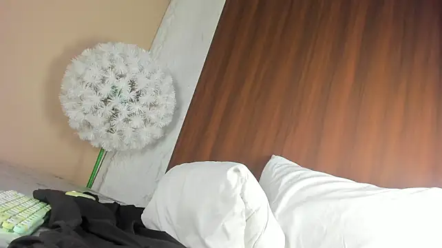 GingerClar webcam