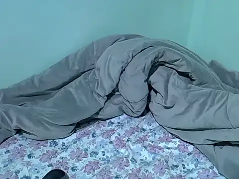 lainearia webcam