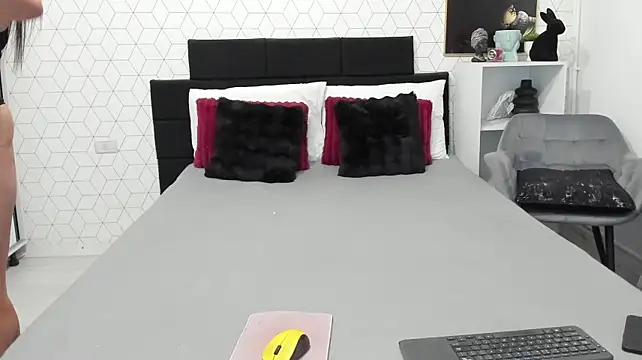Heidix webcam