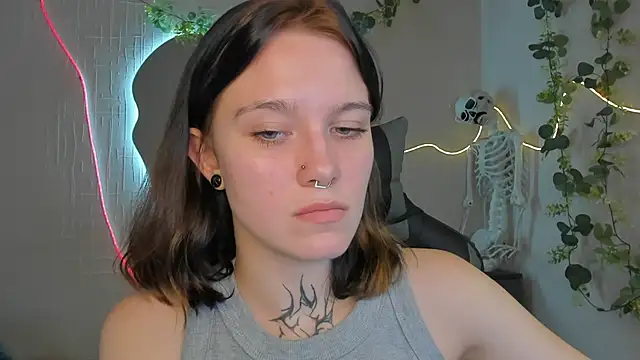 Elastikisss webcam