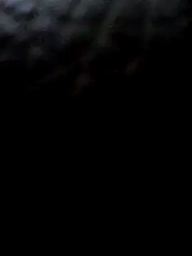 BipedGlint webcam