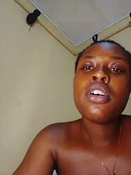 Osimbos webcam