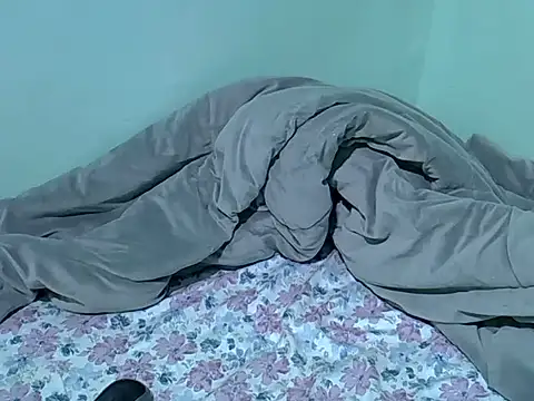 lainearia webcam