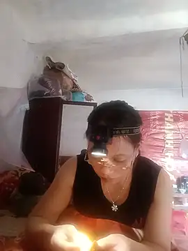 Stella-456 webcam