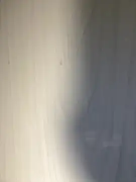 bigdick211292 webcam