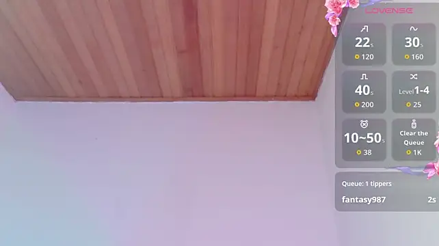 SaNti_ll webcam