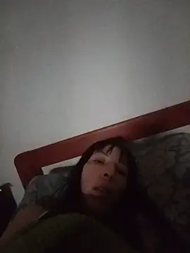 vio86 webcam