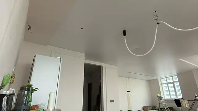 SoftMandolin webcam