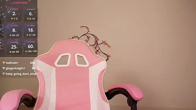 akiomei webcam