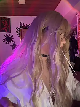 Poisonissa webcam