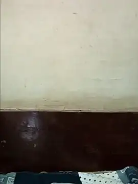 Vexa2619 webcam