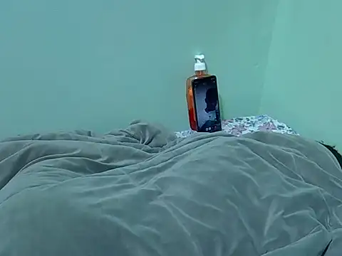 lainearia webcam
