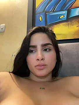 SierraGrec webcam